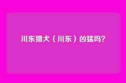 川东猎犬（川东）凶猛吗？