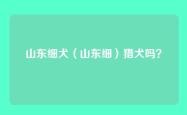山东细犬（山东细）猎犬吗？