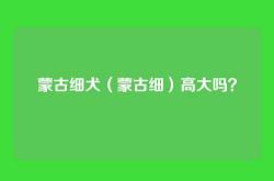 蒙古细犬（蒙古细）高大吗？