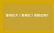 莱州红犬（莱州红）苏联红吗？