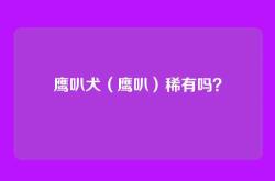 鹰叭犬（鹰叭）稀有吗？