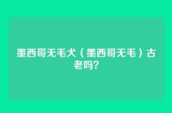 墨西哥无毛犬（墨西哥无毛）古老吗？