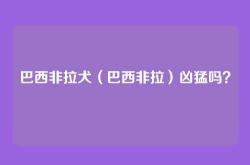 巴西非拉犬（巴西非拉）凶猛吗？