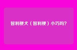 智利梗犬（智利梗）小巧吗？