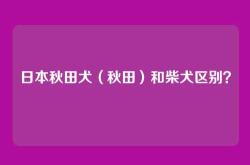 日本秋田犬（秋田）和柴犬区别？