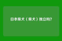 日本柴犬（柴犬）独立吗？