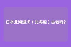 日本北海道犬（北海道）古老吗？