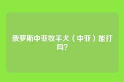 俄罗斯中亚牧羊犬（中亚）能打吗？
