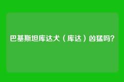 巴基斯坦库达犬（库达）凶猛吗？