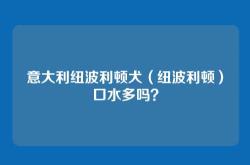 意大利纽波利顿犬（纽波利顿）口水多吗？