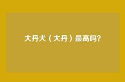 大丹犬（大丹）最高吗？