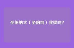 圣伯纳犬（圣伯纳）救援吗？