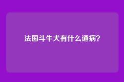 法国斗牛犬有什么通病？
