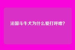 法国斗牛犬为什么爱打呼噜？