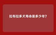 拉布拉多犬寿命是多少年？