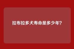 拉布拉多犬寿命是多少年？