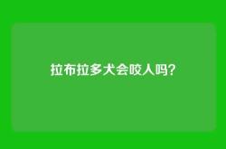 拉布拉多犬会咬人吗？
