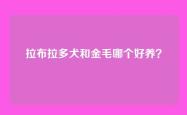 拉布拉多犬和金毛哪个好养？