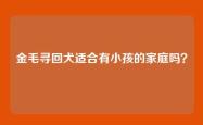 金毛寻回犬适合有小孩的家庭吗？