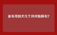 金毛寻回犬几个月开始换毛？