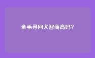 金毛寻回犬智商高吗？