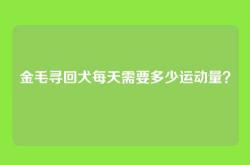 金毛寻回犬每天需要多少运动量？