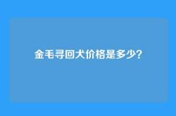 金毛寻回犬价格是多少？