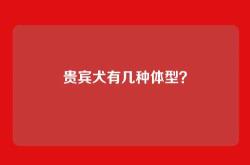 贵宾犬有几种体型？