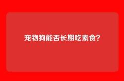 宠物狗能否长期吃素食？
