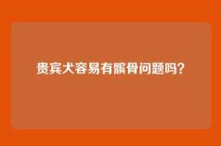 贵宾犬容易有髌骨问题吗？
