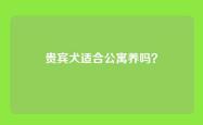 贵宾犬适合公寓养吗？