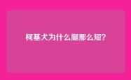 柯基犬为什么腿那么短？