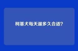 柯基犬每天遛多久合适？