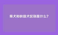 柴犬和秋田犬区别是什么？