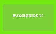 柴犬洗澡频率是多少？