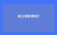 哈士奇好养吗？