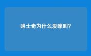 哈士奇为什么爱嚎叫？