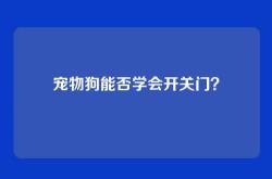 宠物狗能否学会开关门？