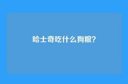 哈士奇吃什么狗粮？
