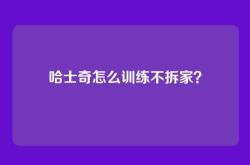 哈士奇怎么训练不拆家？