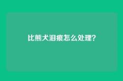 比熊犬泪痕怎么处理？