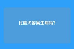 比熊犬容易生病吗？