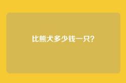 比熊犬多少钱一只？