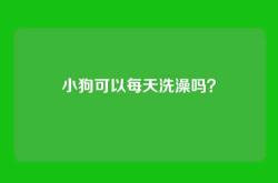 小狗可以每天洗澡吗？