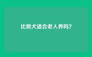 比熊犬适合老人养吗？