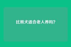 比熊犬适合老人养吗？