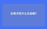 比熊犬吃什么去泪痕？