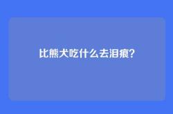 比熊犬吃什么去泪痕？