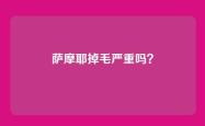 萨摩耶掉毛严重吗？