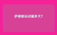 萨摩耶运动量多大？